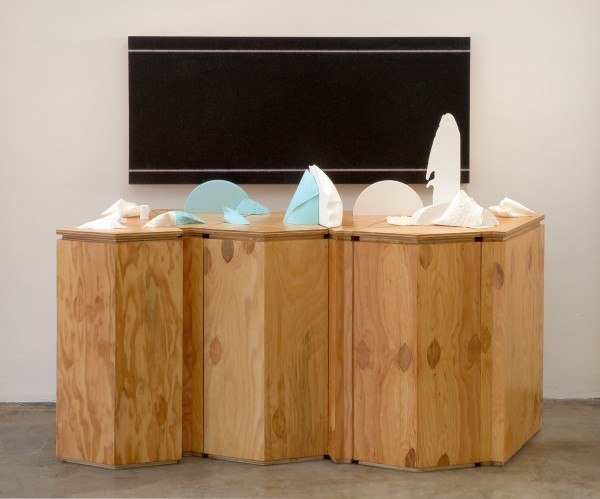 Erik Frydenborg, Selected Region, 2009. Selected Region, 2009. Pigmented polyurethane (plastic and foam), latex rubber, 	hardware, replicated plywood pedestals, unique Lightjet print on fabricated panel.
60 x 72 	x 30 inches.